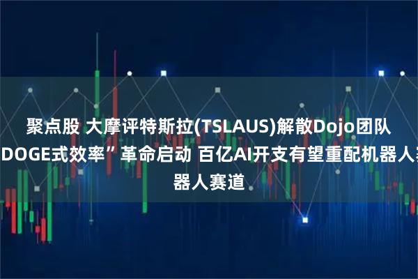 聚点股 大摩评特斯拉(TSLAUS)解散Dojo团队：“DOGE式效率”革命启动 百亿AI开支有望重配机器人赛道